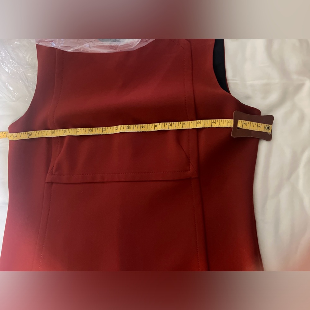 ZARA Rust Mini Dress - Picture 10 of 11